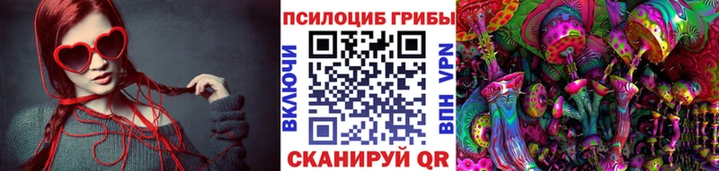 Купить где  Слюдянка  Галлюциногенные грибы GOLDEN TEACHER 